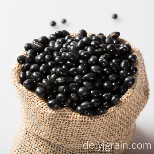 Großhandel Landwirtschaftsprodukte hochwertige schwarze Bohnen